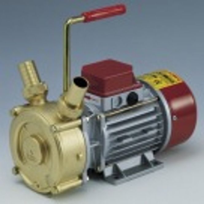 Hovedbilde Rover selvsugende bronsepumpe 24L/min 12/24v